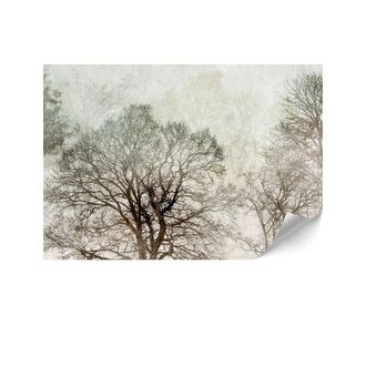 OEM Carta Da Parati Standard In Tessuto Non Tessuto - 100 X 70 Cm - Stile Modernista - Natura Carta Da Parati Standard In Tessuto Non Tessuto - 450 X 315 