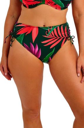 Fantasie Pichola High Waist Bikini Bottoms in Mangrove at Nordstrom, Size Xx-Large