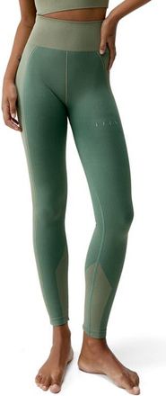 Born Living Yoga Buddha Seamless High Rise Sport Legging in Deep Green/grain at Nordstrom, Size Medium Eu