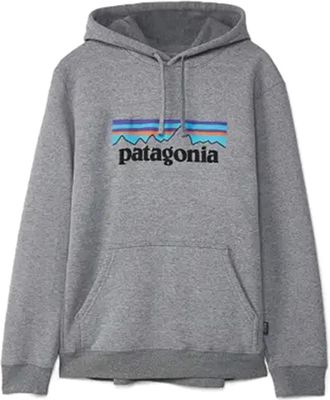 Patagonia Hombre, Sudaderas, Gris, Talla: S
