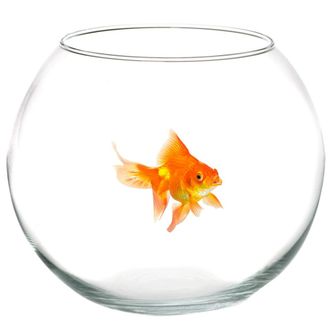 Trade Shop Trade Shop - Ampoule Boccia Para Vidrio De Pescado 25 Cm Acuario De La Mesa De Pescado Roja Del Centro De La Casa