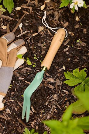Barebones Mint Dandelion Weeding Fork