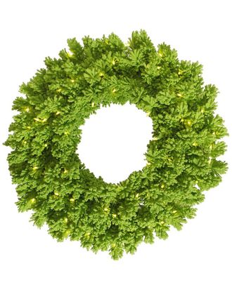 Vickerman 30In Flocked Lime Fir Artificial Christmas Wreath, Lime Dura-Lit Led Lights