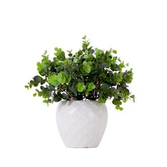 Nearly Natural 11-in Artificial Boxwood Plant with Decorative Planter in Green at Nordstrom