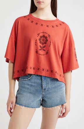 Daydreamer Vintage Floral Cropped Graphic T-Shirt in Chili at Nordstrom