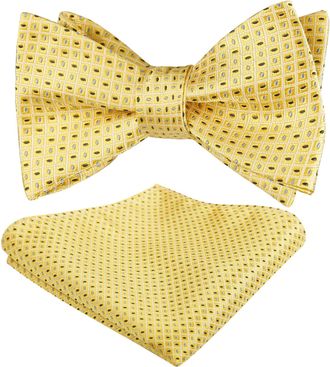 Alizeal Mens Self Tied Regular Plaid Dot Bow Tie and Pocket Square Set, Yellow