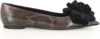 AGL Zwarte Fergy Rose Damesschoenen - Dames - Ballerinas - Bruin - 38 EU - Schoenen
