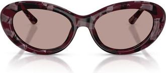 Dolce & Gabbana 54mm Oval Sunglasses in Pearl Havana Purple /Brown at Nordstrom