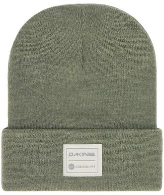 Dakine Cutter Beanie Snow Beanie in Mulled Basil at Nordstrom