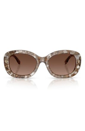 Tory Burch 52mm Polarized Oval Sunglasses in Transparent Brown Tortoise at Nordstrom