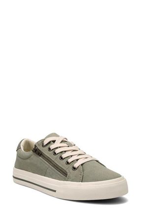 Taos Z-Soul Platform Sneaker in Sage/Olive Distressed at Nordstrom, Size 6.5