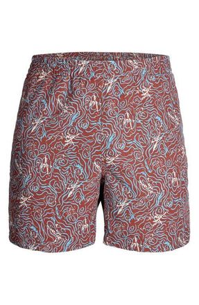 Royal Robbins All In Shorts in Mahogany Kayaker at Nordstrom, Size Xx-Large