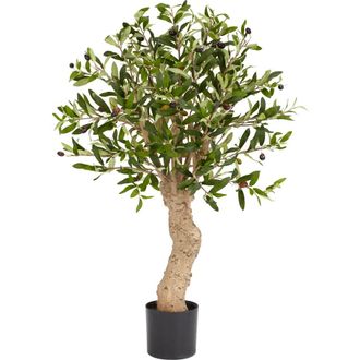 Nearly Natural 2.5-ft Olive Artificial Tree in Green at Nordstrom