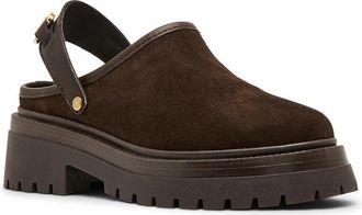 Steve Madden Erba Womens Shoes Brown Suede : 9.5 M