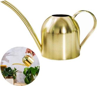 No Brand Regadera De Acero Inoxidable - Tama&ntilde;o Peque&ntilde;o Con Boquilla Larga - Apta Para Plantas De Jard&iacute;n, Tanto De Interior Como De Exterior - 500 Ml