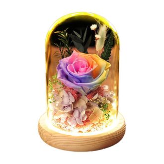 OEM Rosa Artificial, Luces Led, C&uacute;pula De Cristal, Base De Madera, Decoraci&oacute;n De Interiores, Regalo Para Fiestas