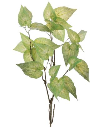 Melrose International Set Of 4 Anthurium Leaf Branch