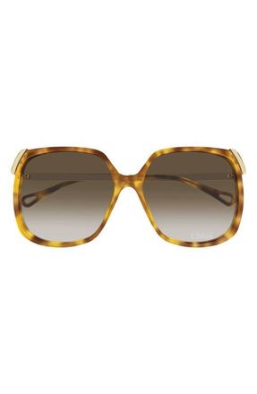 Chlo&eacute; 60mm Gradient Square Sunglasses in Havana Brown at Nordstrom
