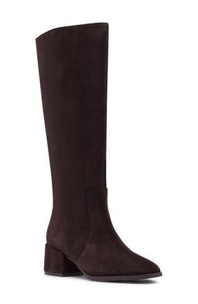 Blondo Flair Waterproof Knee High Boot in Java Suede at Nordstrom Rack, Size 6.5