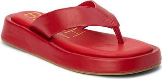 Matisse Footwear Mallorca Platform Flip Flop in Red at Nordstrom, Size 6