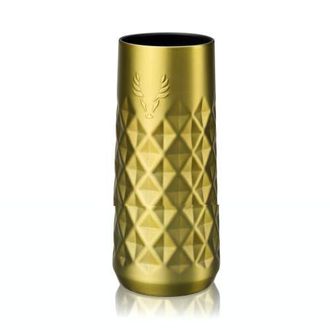 Viski Paragon Stainless Steel Champagne Flute in Gold at Nordstrom