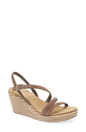 Pedro Garcia Aridai Platform Wedge Sandal in Chocolat Castoro at Nordstrom, Size 9.5Us