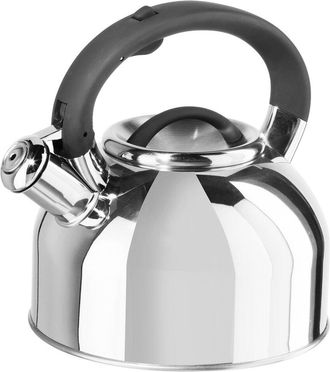 Oggi Stainless Steel 1.9L Whistling Tea Kettle