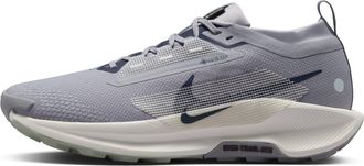 Nike Pegasus Trail 5 Gore-Tex Cement Grey FQ0908-006