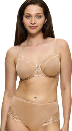 Triumph Minimizer-BH