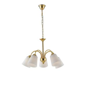 Netlighting 5 Light Multi Arm Pendant Ceiling Light Gold 14cm