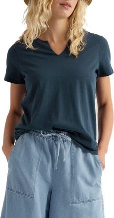 Seasalt Cornwall Kellow V-Neck Organic Cotton T-Shirt in Maritime at Nordstrom, Size 12