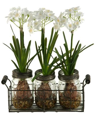 D&W Silks Paper Whites In Glass Jars In Metal Holder