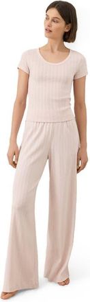 Pact Organic Cotton Pointelle Scoop Neck Tee in Soft Pink at Nordstrom, Size Large