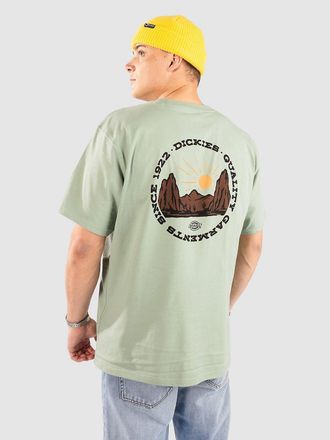 Dickies Outdoor Camiseta verde