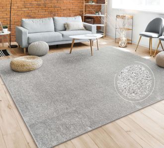 Paco Home Paco Home - Alfombra Sal&oacute;n Color Liso Discreta Moderna Pelo Corto Varios Colores Y Tama&ntilde;os 280x380 Cm, Plata