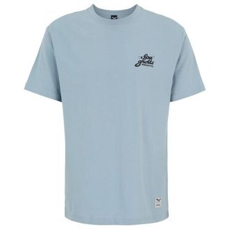 Iriedaily Spa Ghetti Tee T-Shirt f&uuml;r Herren | grau