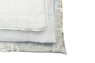 Ribeco Microfaserkissen »Überraschungspaket, wir räumen unser Lager!« Füllung: 100% Polyester 1 Stk. tlg. Kissen 40x80 cm, 80x80cm