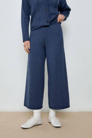 Diarte Porter Pants In Blue Melange