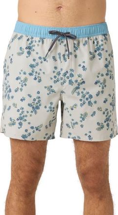 O'Neill OG Volley Swim Trunks in Light Khaki at Nordstrom, Size Small