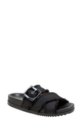 Linea Paolo Rylee Sandal in Black at Nordstrom Rack, Size 7.5