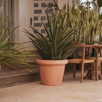 OEM Rosa 55 Macetero Redondo Y R&uacute;stico De Interior Y Exterior Para Plantas Y Flores Muy Resistente Al Paso Del Tiempo. Hecho De Polietileno En Espa&ntilde;a - Te