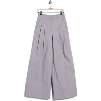 Derek Lam Juliana Wide Leg Pleated Pants in Light Grey at Nordstrom Rack, Size 12