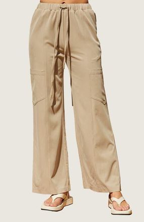 Crescent Pull On Tencel Blend Pants in Taupe at Nordstrom, Size X-Small