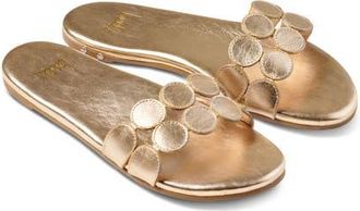 beek Whirlybird Slide Sandal in Gold at Nordstrom, Size 7