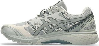Asics Gel-Terrain Grey White 1203A342-020