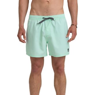 Quiksilver Everyday Volley 15-Inch Swim Trunks in Brook Green at Nordstrom, Size Xx-Large