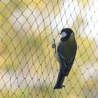 OEM Malla Para P&aacute;jaros, 10 X 6 M De Ancho, Malla Protectora Resistente Para Estanques De Jard&iacute;n, Para Frutas Y Verduras