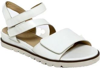 David Tate Theo Ankle Strap Sandal in White at Nordstrom, Size 12