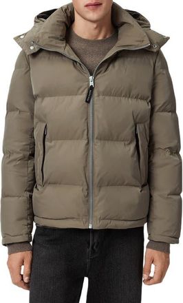 AllSaints Marlo Ramskull Puffer Jacket in Gull Brown at Nordstrom, Size Xx-Large