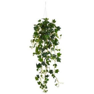 Nearly Natural English Ivy Hanging Basket Artificial Plant in Green at Nordstrom